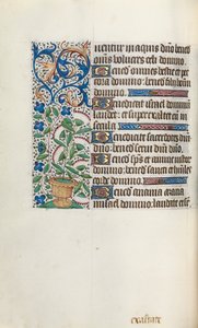 Stundenbuch Gebrauch von Rouen: fol. 43v, ca. 1470