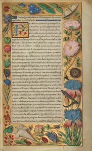 Dekorierte Textseite von Master of the Getty Epistles