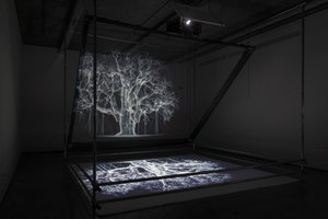 Albion, 2017 von Mat Collishaw