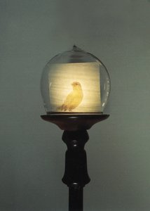 Antik von Mat Collishaw