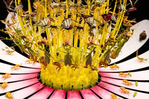 Äquinoktium, 2021 von Mat Collishaw