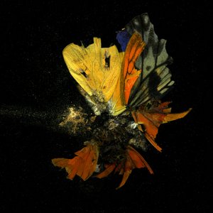 Insektizid 13