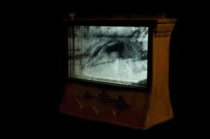 Wurmfarm, 2009 von Mat Collishaw
