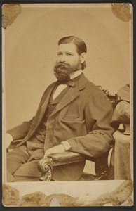 Thomas Davidson Jr. von Mathew B. Brady