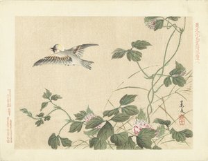 Wegfliegender Vogel bei Kletterpflanze mit rosa Blumen
