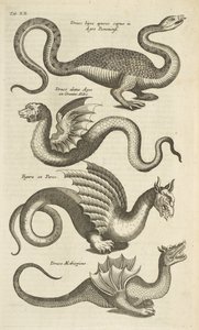 Tafel XII, Mythische Kreaturen, Drachen, Illustration aus 