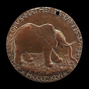Der Malatesta-Elefant auf einer Wiese