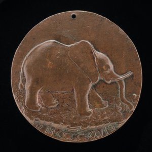 Der Malatesta-Elefant auf einer Wiese [Rückseite], 1446