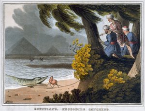 Ägypter, Krokodilfang, 1813 von Matthew Dubourg