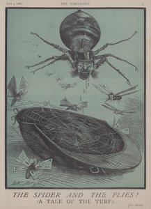 Die Spinne und die Fliegen! von Matthew