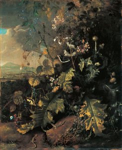 Waldboden mit Schmetterlingen und Eidechsen