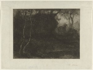 Wald mit Zicklein