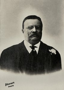 Porträt von Theodore Roosevelt, Präsident der Vereinigten Staaten