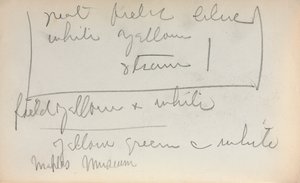 Italienisches Skizzenbuch: Notizseite 45, 1898-1899