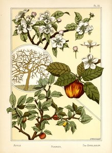 Der Apfelbaum von Maurice Pillard Verneuil