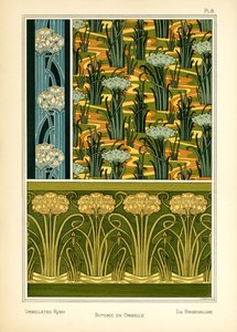 Die Umbellierte Binse