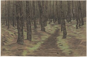 Kiefernwald