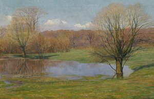 Aulandschaft im Vorfrühling
