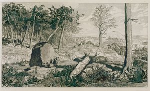 Landschaft mit Bäumen