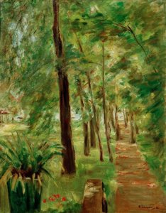 Die Birkenallee im Wannseegarten nach Osten