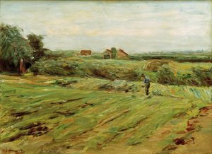 Erntefeld – Kohlfeld (?)