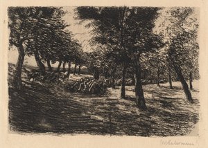 Schafherde unter Bäumen von Max Liebermann