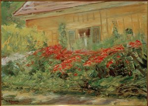 Blumenstauden am Gärtnerhäuschen nach Norden