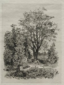 In meinem Bordeaux-Garten von Maxime Lalanne