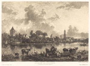 Tiere auf der Weide
