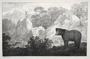 Gebirgslandschaft mit Bär im Vordergrund von Maximilian Josef Wagenbauer