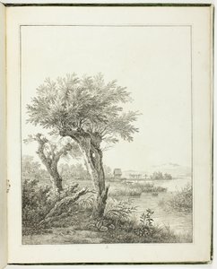 Baumstudien für angehende Landschaftszeichner von Maximilian Josef Wagenbauer