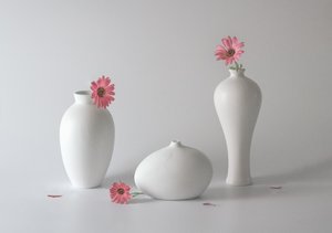 Gelassene Blumenvasen von May G