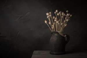 Dunkles Stillleben mit Mohnkapseln von Mayra Pama