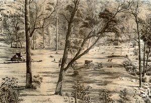 Hütte eines freien Selektors, Australien, 1879 von McFarlane and Erskine