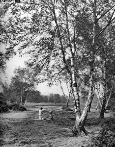 Putney Heath, London, 1926-1927