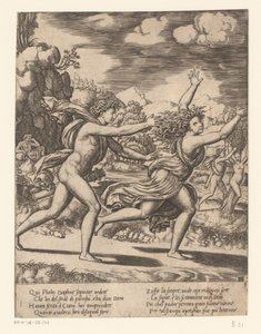 Apollo verfolgt Daphne von Meester van de Dobbelsteen