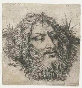 Der Kopf von Johannes dem Täufer oder von Goliath