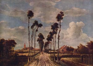 Die Allee in Middelharnis