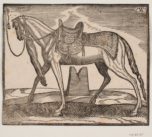 Elegantes gesatteltes Pferd, angebunden an der linken Rahmenlinie, Profil nach links; unter dem Bauch des Pferdes sieht man eine Ruine