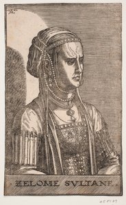 Sultaninporträt, Halbprofil nach links: ZELOME SVLTANE