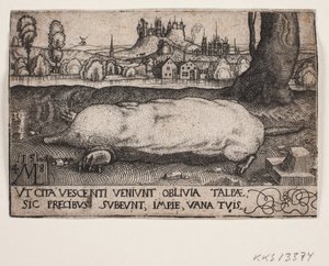 Der Maulwurf von Melchior Lorck