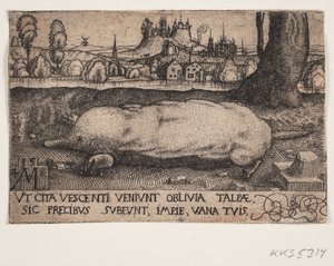 Der Maulwurf von Melchior Lorck