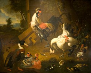 Ein Hahn mit einer Henne und drei Enten von Melchior de (studio of) Hondecoeter