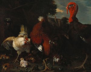 Eine Henne, ein Hahn und ein Truthahn in einem Bauernhof