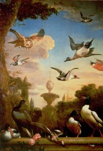 Eine Stockente und ein Steinadler in einer klassischen Gartenlandschaft