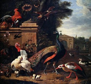 Ein Pfau, ein Falke und verschiedene Hühner und Enten in einem Park von Melchior de Hondecoeter