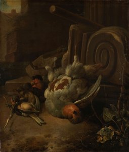Tote Vögel