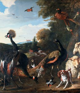Pfauen und andere Vögel, mit einem Schaf und Hund in einer Landschaft
