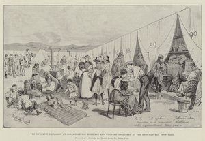Die Dynamitexplosion in Johannesburg, Obdachlose und Verwundete im Landwirtschaftsausstellungsgelände von Melton Prior