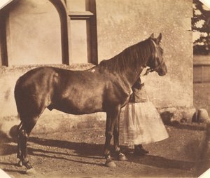 Sultan, Mitte der 1850er Jahre